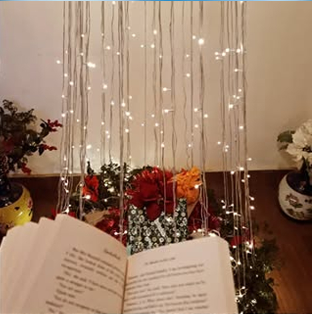 Pranjali Shome philosophy books thoughtful reading